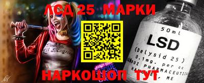 прущие грибы Ачхой-Мартан