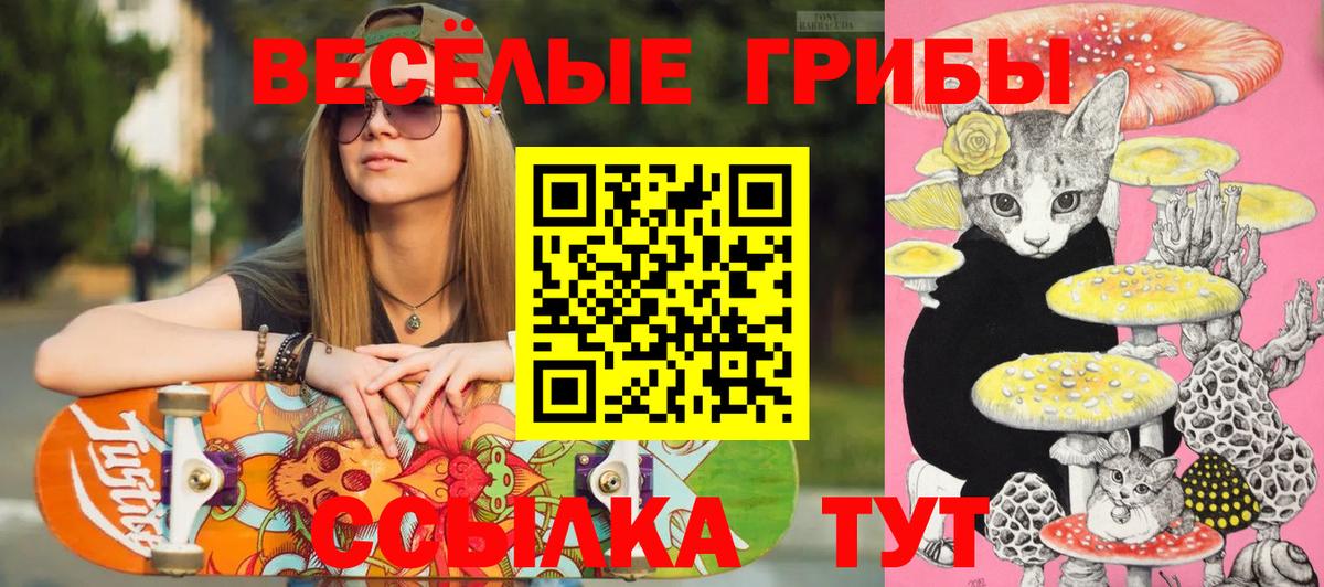 Псилоцибиновые грибы мухоморы  Псилоцибиновые грибы Cubensis  Новороссийск  Вход с VPN 